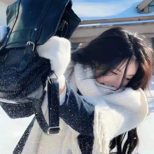 布里叶女士